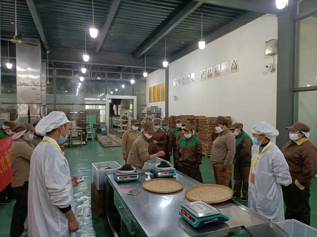 精益求精&middot;鑄造品質｜六大茶山第十四屆技術大比武圓滿完成